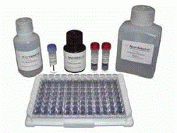 8-Isoprostane  (15-Isoprostane F2t) ELISA Kit for Plasma & Tissue