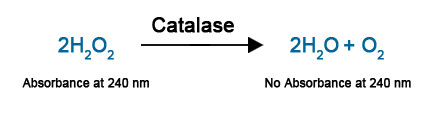 Catalase Enzyme Activity Assay Kit Nwlss Supplier